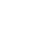 Logo of Veem.